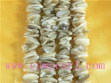 top drilled 9mm white shell strands